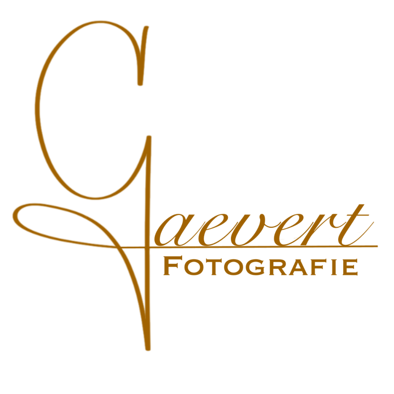 Alexander Gaevert Fotograf aus Dormagen für Hochzeiten, Taufe, Business, Vereine, Karneval